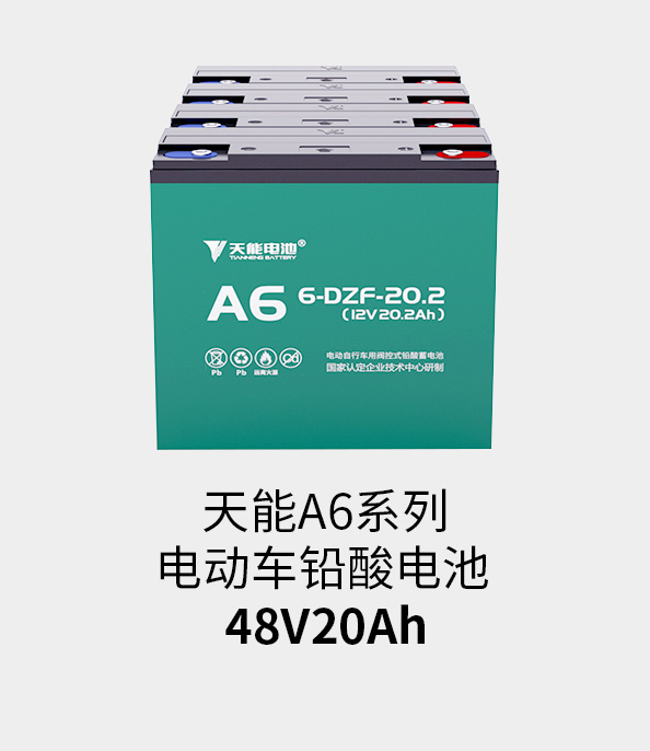 KA电子(中国区)·电池48v20ah