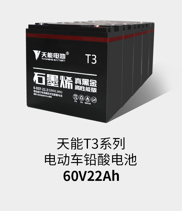 KA电子(中国区)·T3系列60v22ah